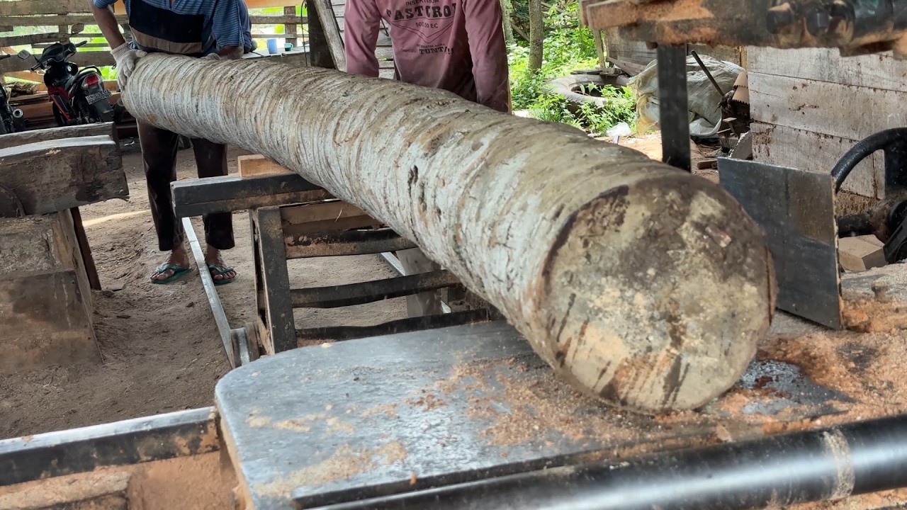 How to Professionally Cut a Coconut Tree into 2x20 Lumber