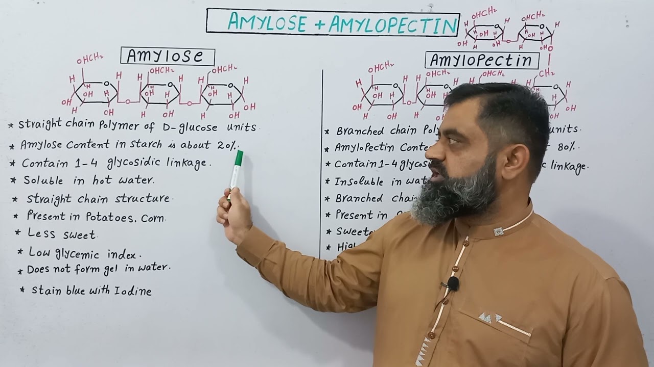 Difference between Amylose and Amylopectin  English medium @prof.masoodfuzail#Amylose #Amylopectin