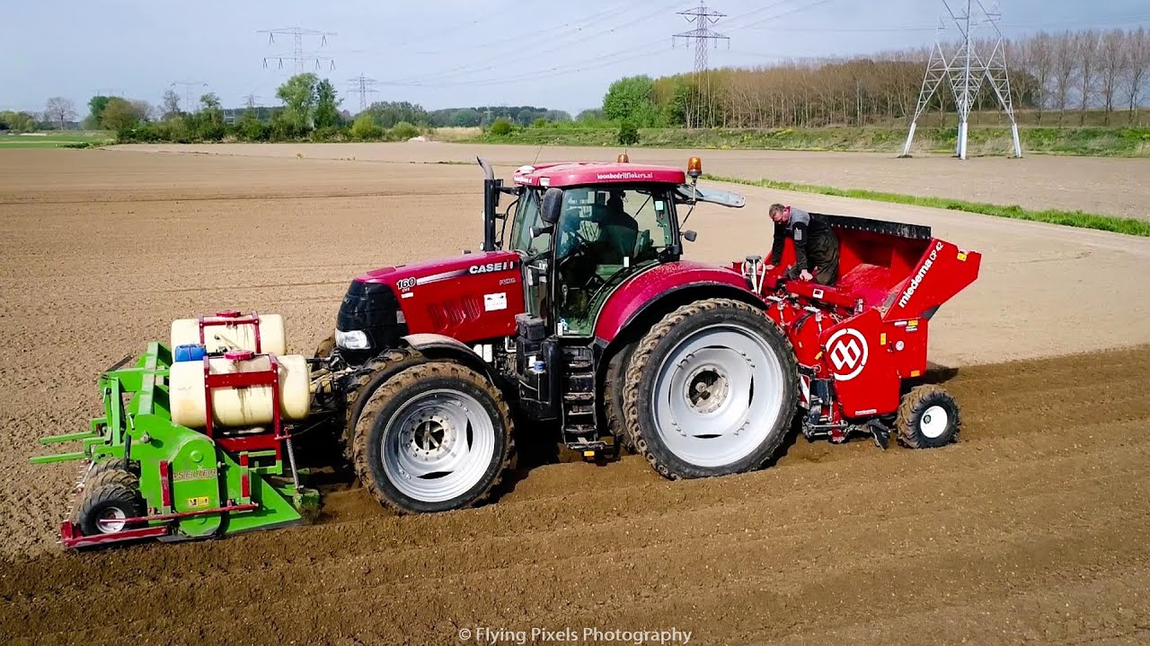 Aardappels poten / Planting potatoes / Kartoffeln legen / Case IH / Miedema / Baselier