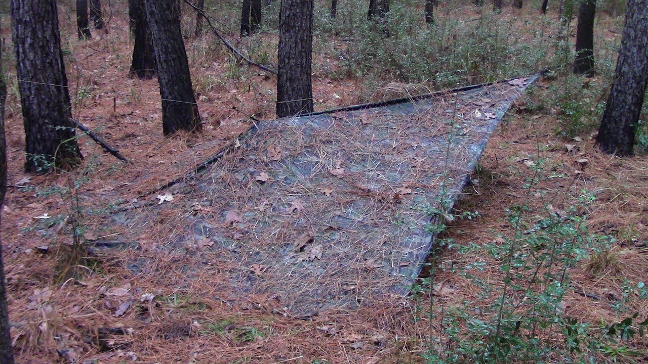 Plow Point Tarp Shelter Part One: Basic Set Up