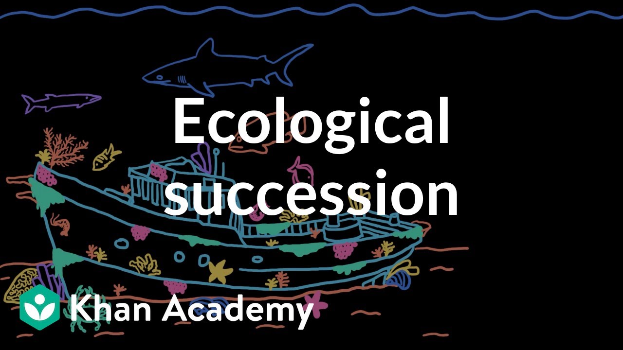 Ecological succession | Middle school biology | Khan Academy