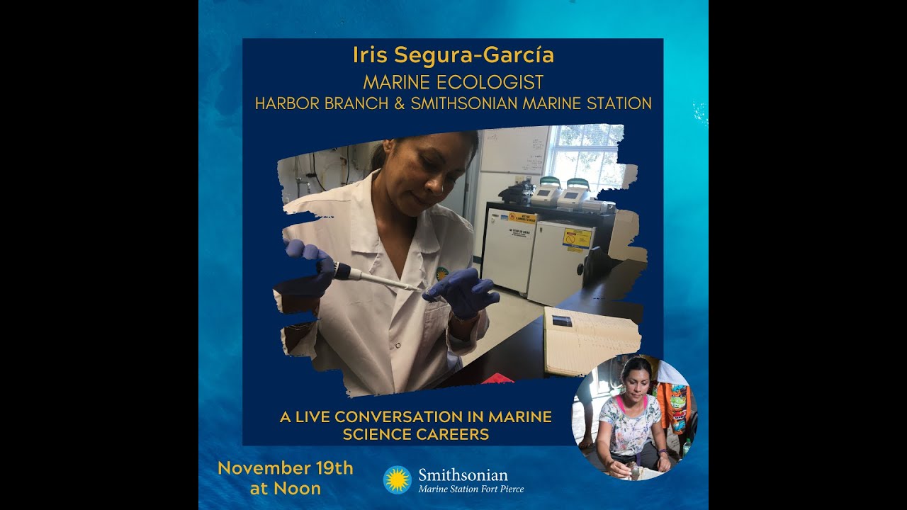 Career Dives: Live Conversations in Marine Science with Iris Segura-Garcia (PhD)
