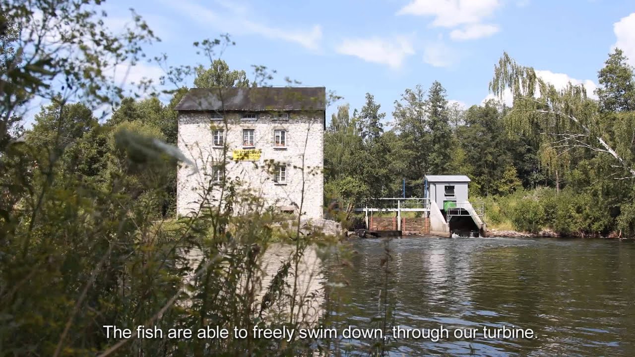 Archimedes Screw of Enerko Energy