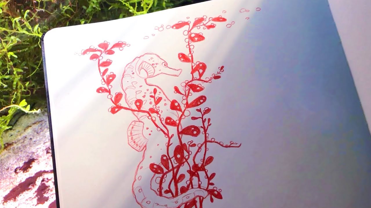 Let's go aquarium sketching ✧˖°