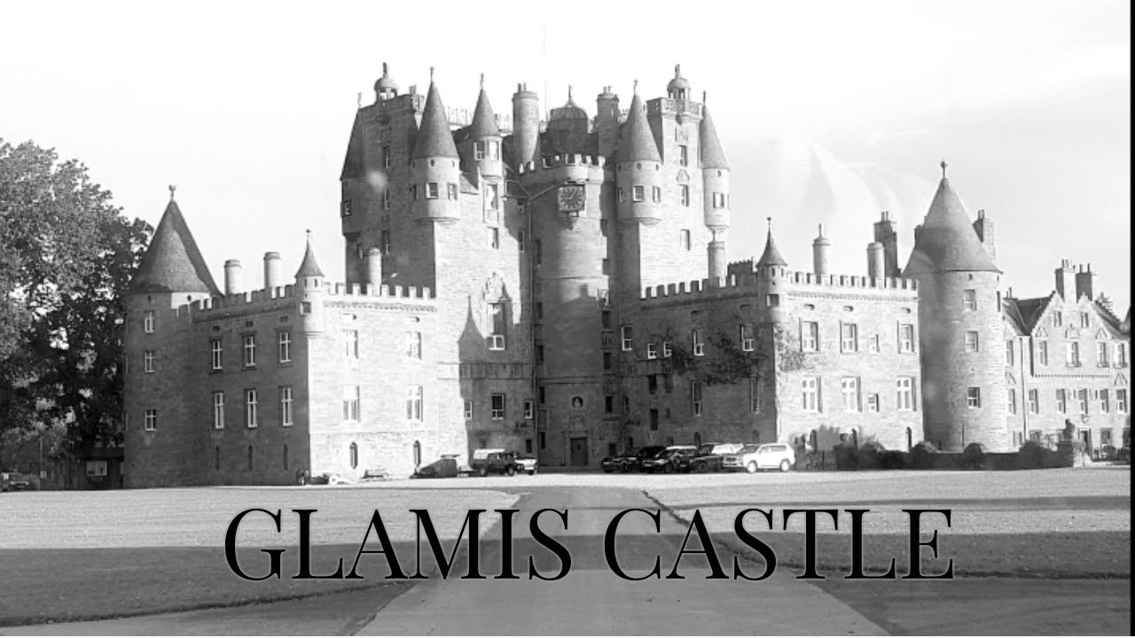 Fabulous Pheasants and Partridge at Glamis castle!