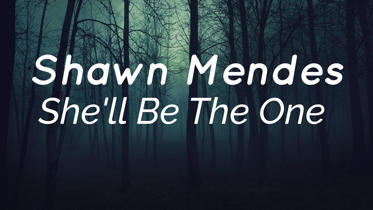 Shawn Mendes - She'll Be The One Lyrics (NEW SONG!!)