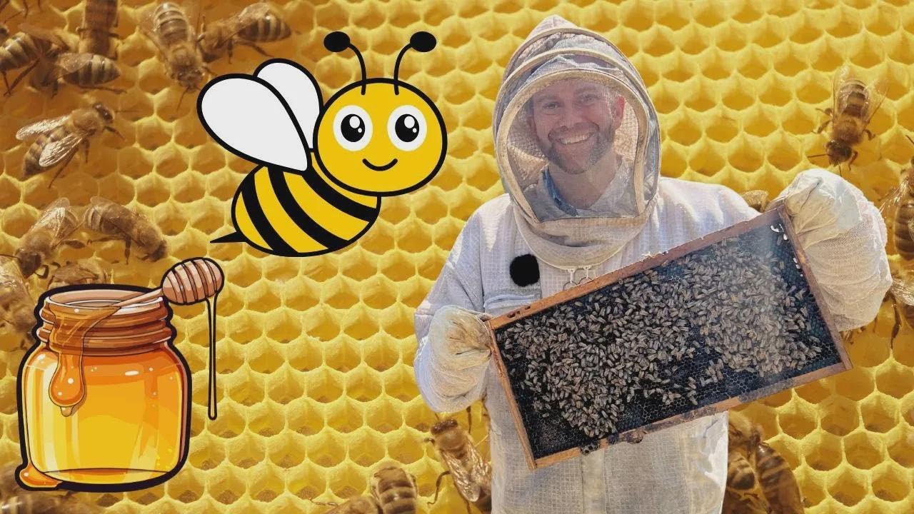 L’aventure incroyable des abeilles avec Cowboy Jack pour les enfants