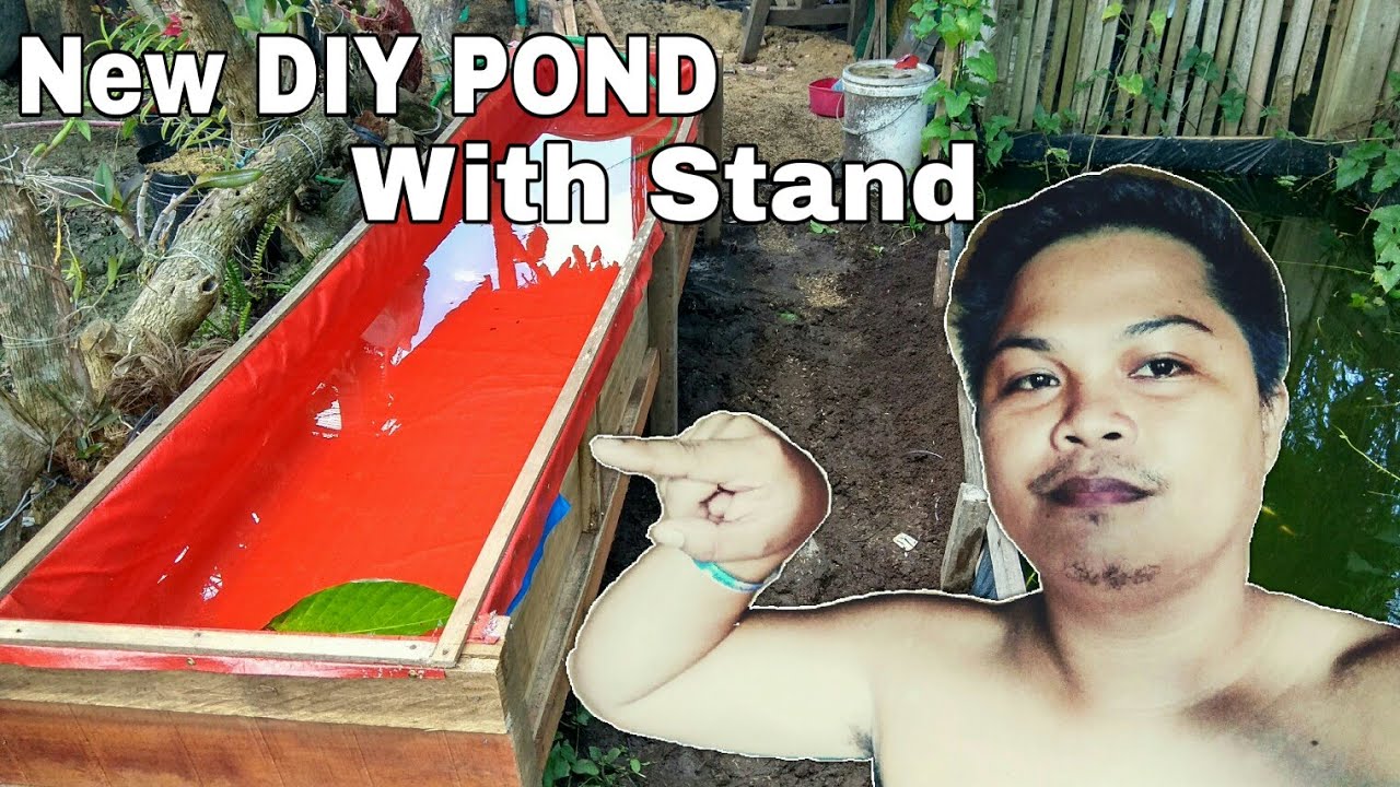 DIY POND FOR MOLLY FISH DIY POND WITH STAND POND FOR GUPPY FISH