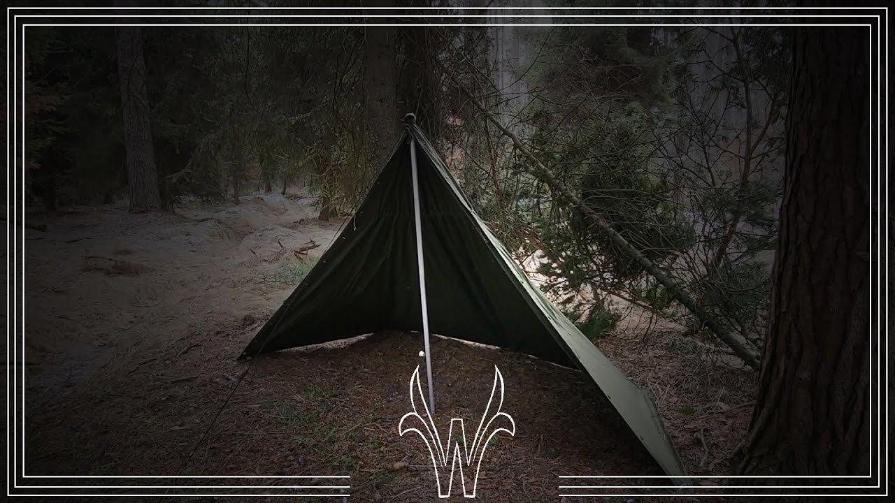 Jak naładować życiową baterię w Lesie #survival #survival #preppersi #dance