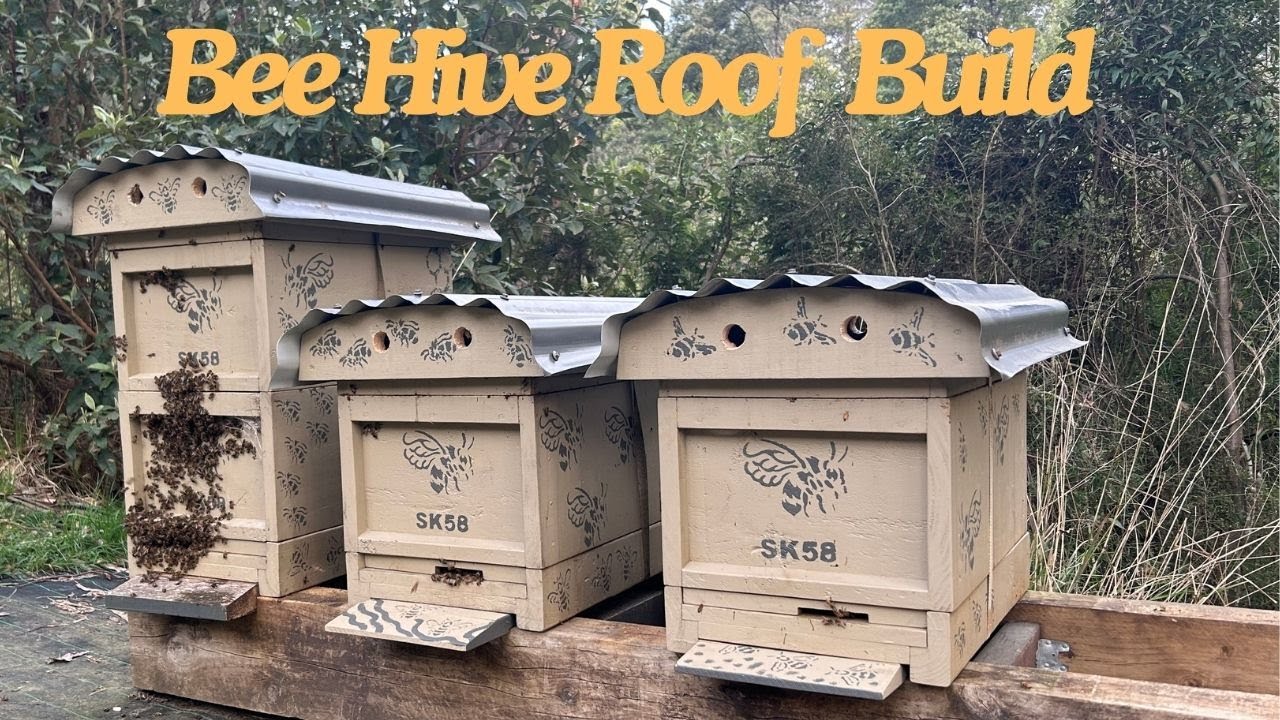 Beekeeping : Bee Hive Roof DIY Build