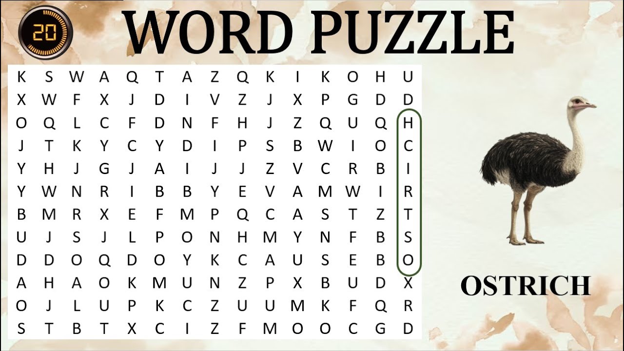 WORD FINDER: ANIMALS 🐾 | Can You Spot Them All? Super Fun Brain Game for Kids & Teens!