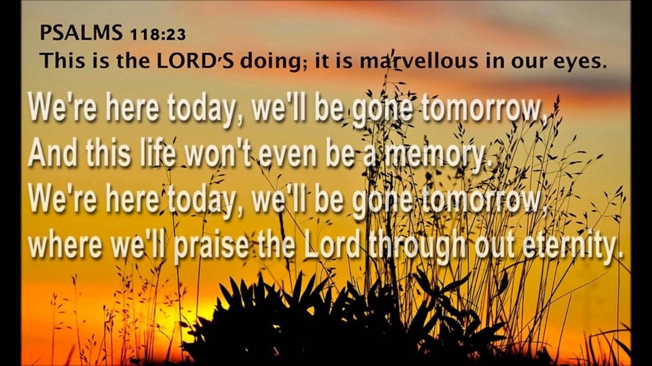 Here Today Gone Tomorrow