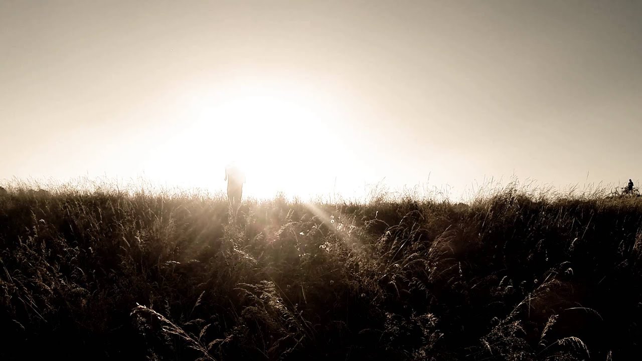 Lost Frequency Array - Sunrise