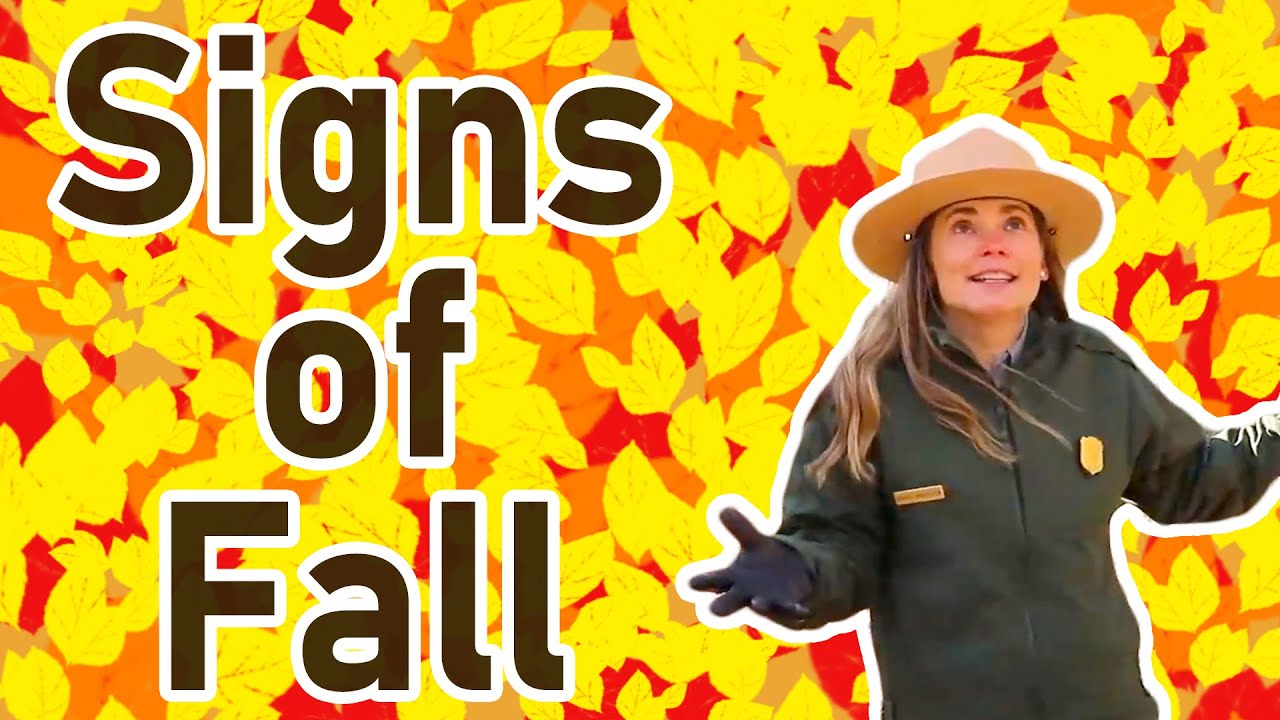 Signs of Fall