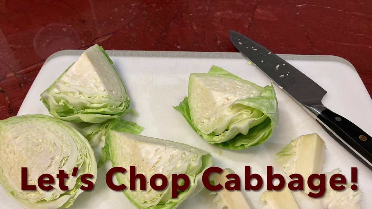 Vitamix Food Processor Cabbage 1st Attempt #newbie