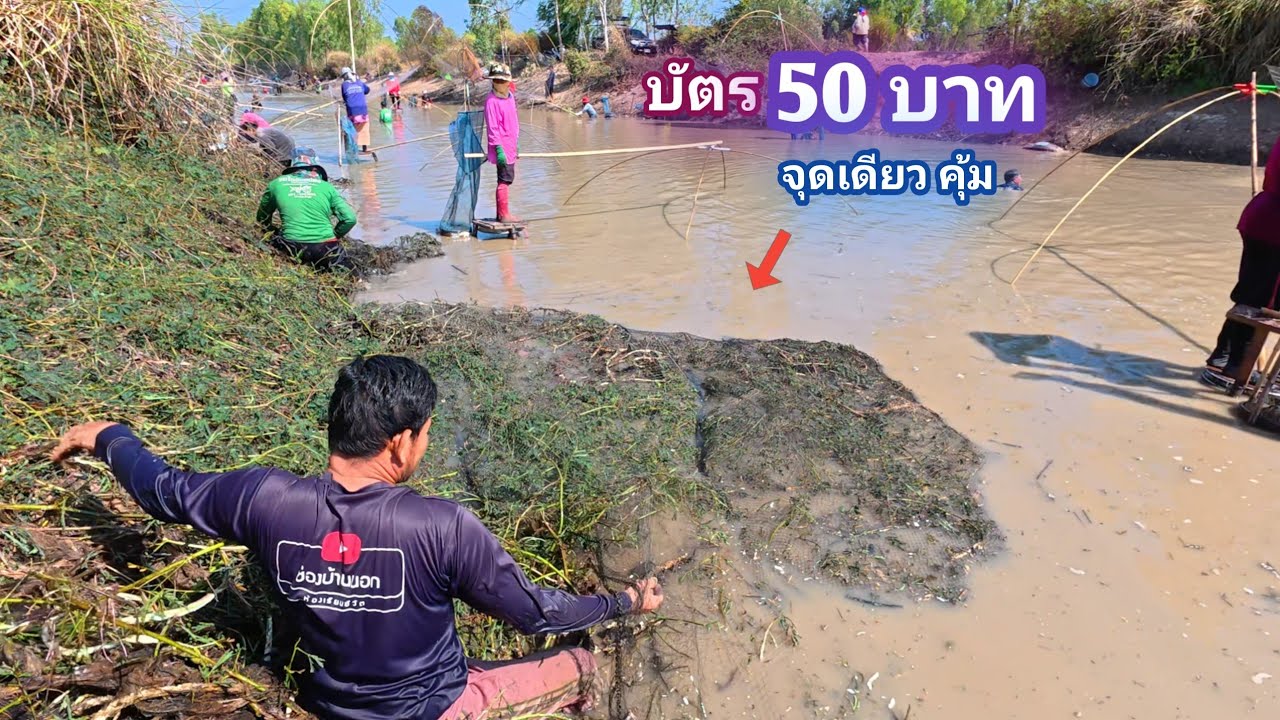 บัตร 50 บาท หว่านเเห ยกยอ จุดเดียวคุ้ม คลองเล็กๆ ปลาจะเยอะอะไรขนาดนี้ / บ้านนอก EP.995
