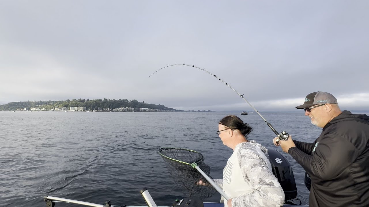 Chinook Salmon in Downtown Seattle!?! Yes! | Puget Sound | Elliott Bay 8-4-2024