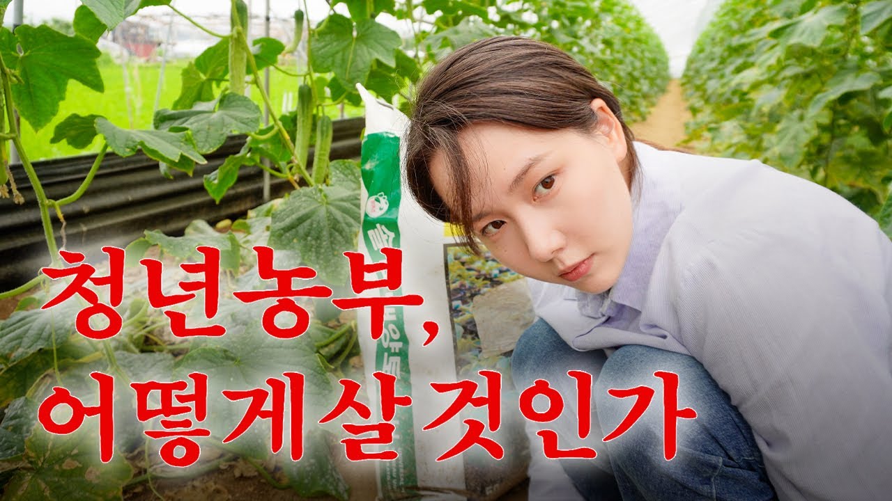 마지막 오이를 팔고, 마음이 무거워졌다