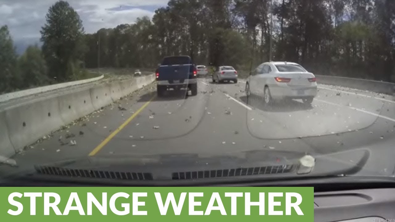 Powerful windstorm in BC causes road delays