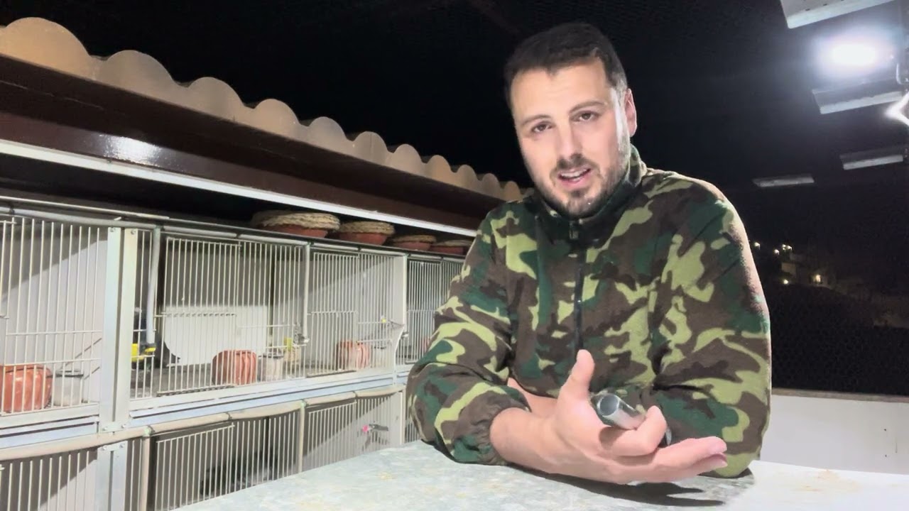 Seguimiento del búho 🦉 