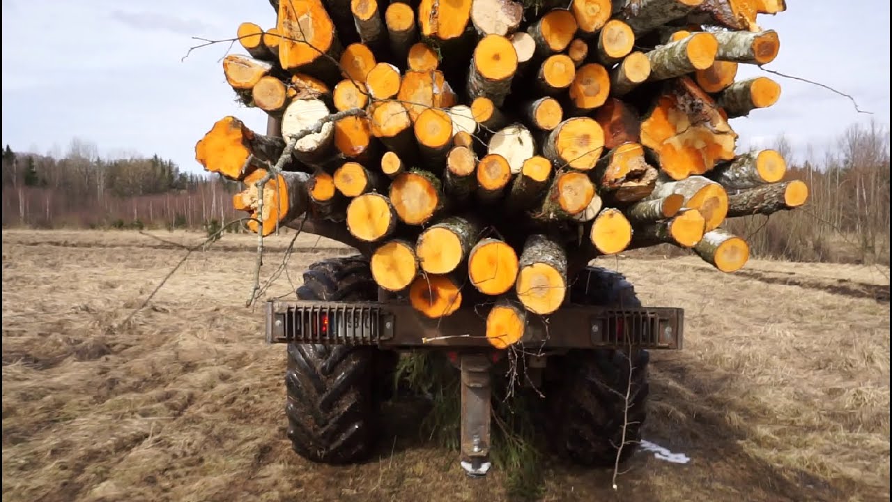 Belarus Mtz 1221,2 forestry tractor with large homemade trailer logging in winter forest