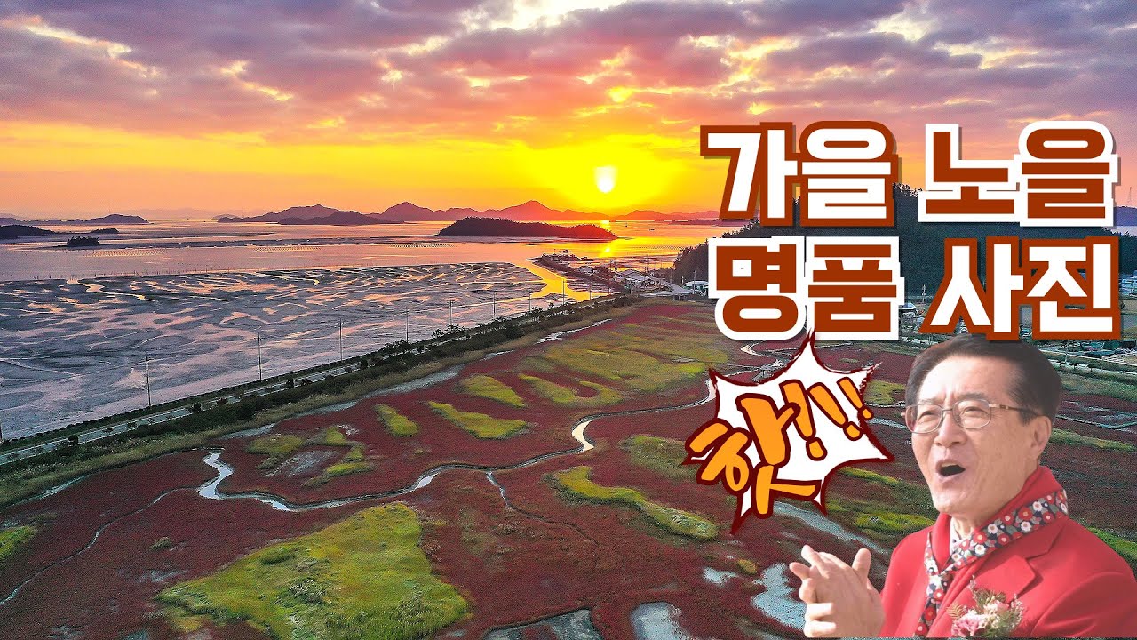 ※사진명소※_여기 어디니?_모르면 나만 손해!_증도 ‘염생 식물원’_‘함초 축제’_※가을 여행지 급부상※_ 박우량_신안군수
