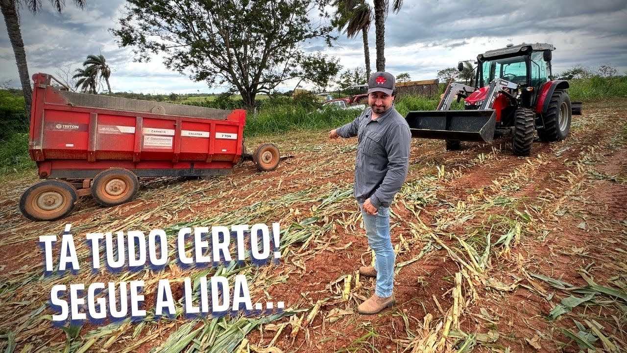 SILAGEM SEM TRETA NÃO É SILAGEM! FOI PUXADO, MAS ACABAMOS A COLHEITA.