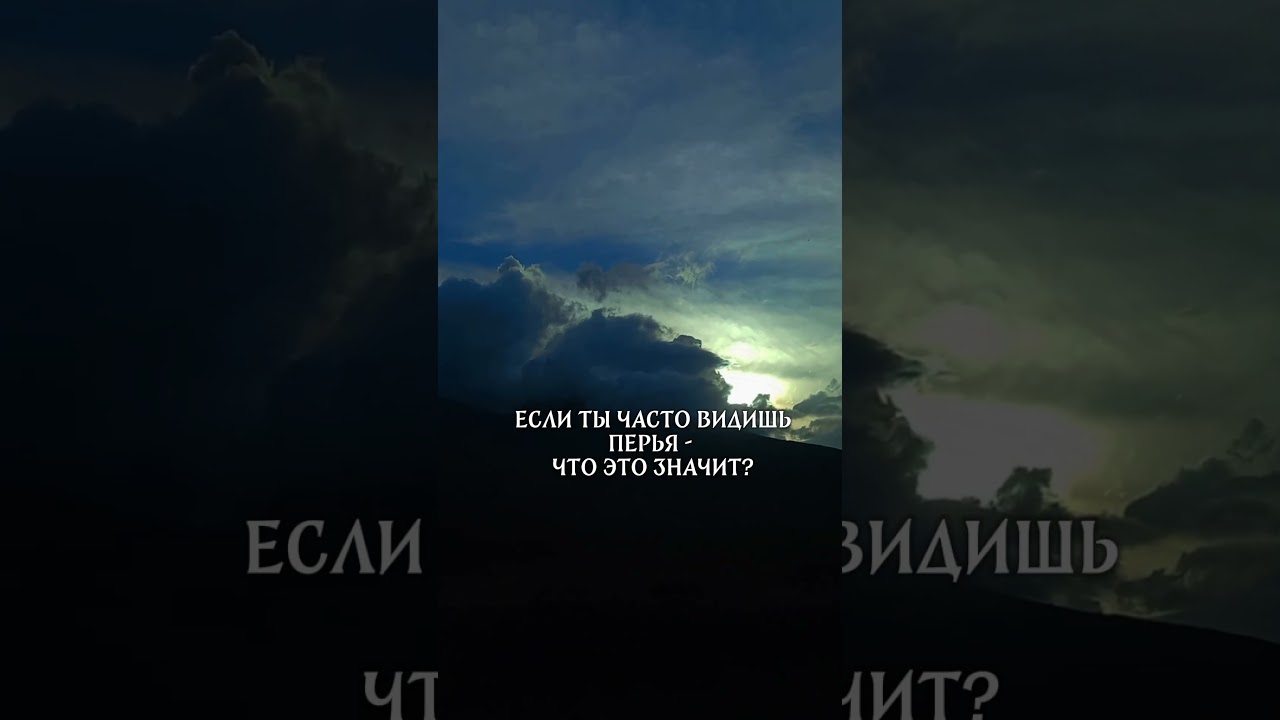 Если ты часто видишь перья — что это значит? 