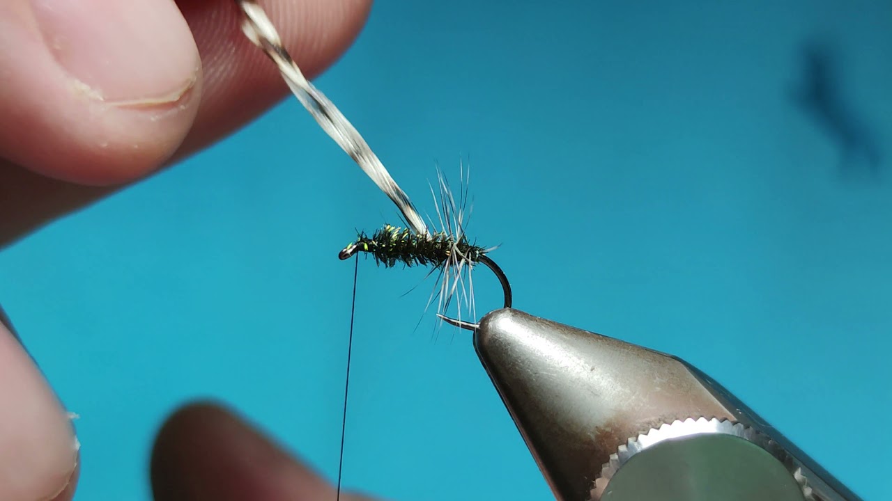 Jassid Variant Dry Fly
