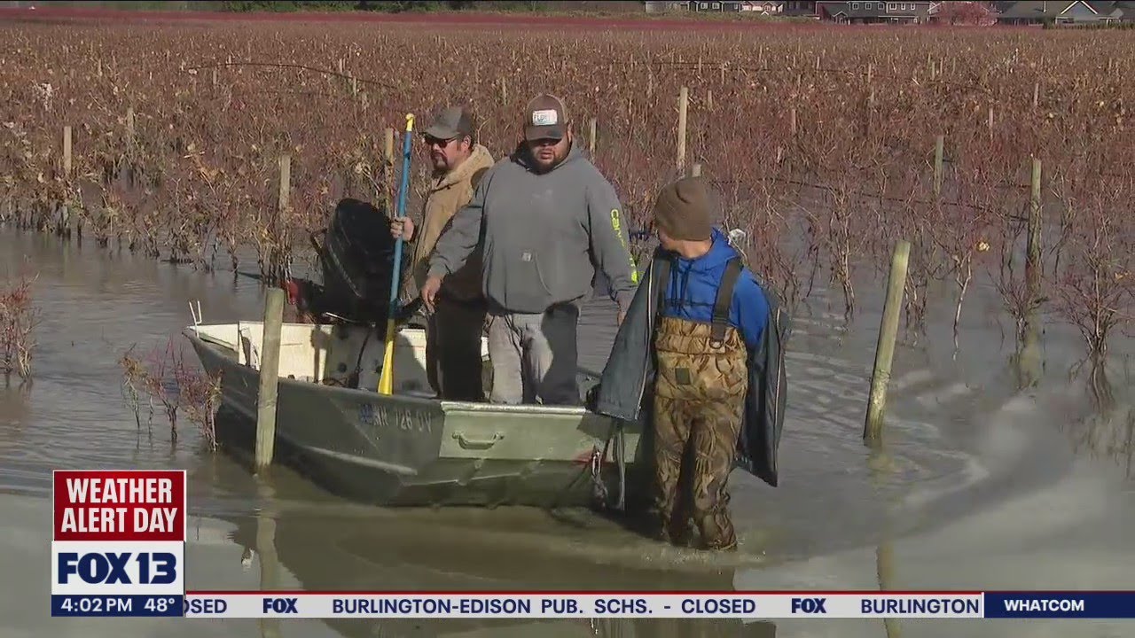 Search for Whatcom County man swept away by floodwaters | FOX 13 Seattle