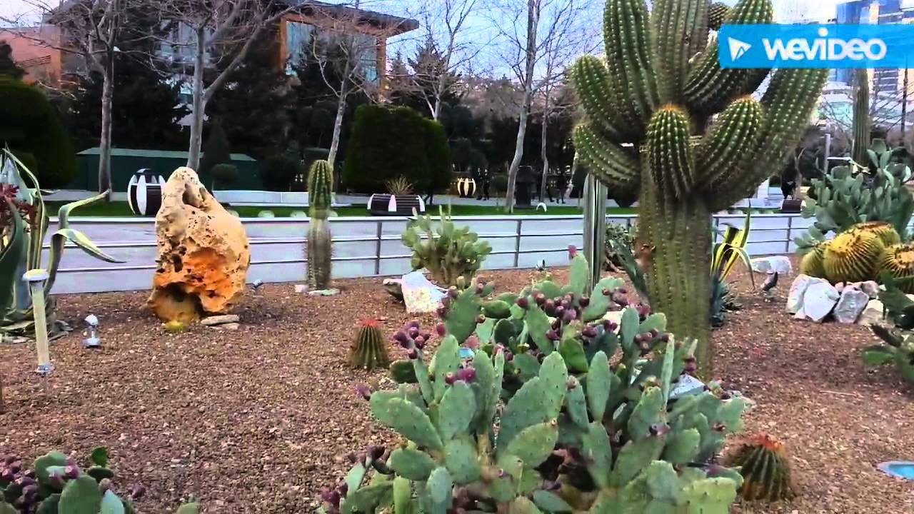 Приморский Бульвар Баку. Baku Seaside Boulevard. Bakı Dənizkənarı Bulvar.