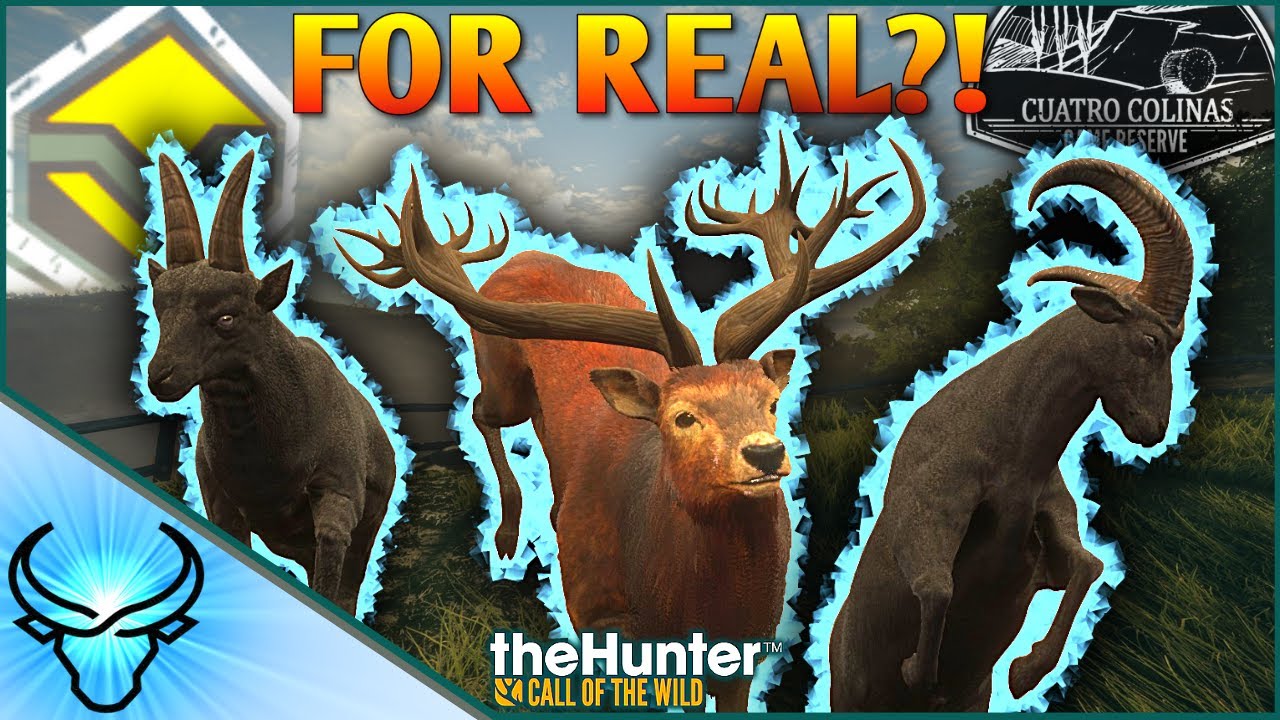 MY 100th DIAMOND! Diamond Red Deer, Melanistic Mouflon, Melanistic Ibex & More! Call of the Wild