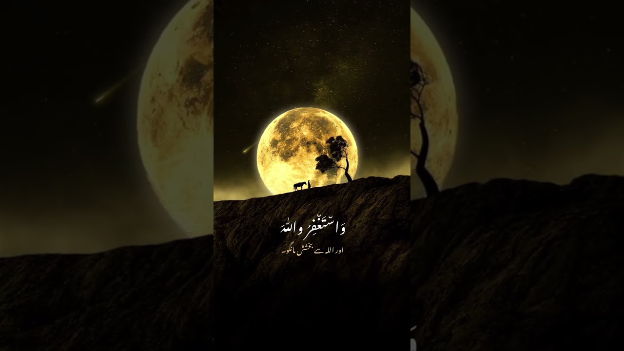 Heart-Touching Quran Recitation | Soothing Voice | Short Clip