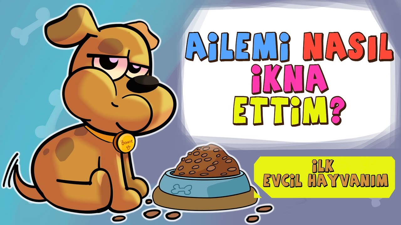 YENİ KÖPEĞİM (Yavru Köpek Sahiplendik)  | Hikaye Kafası