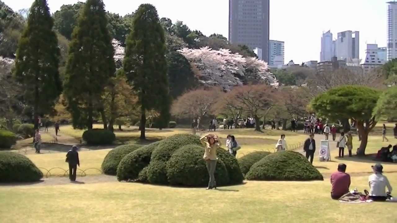 【高画質版】森下玲可「あなたの風が吹くから（Your wind is blowing）」