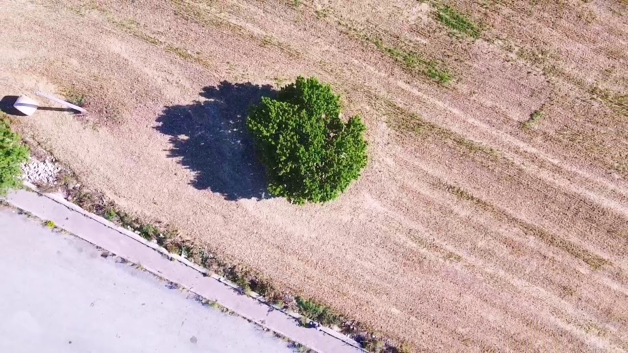Mavic mini editing video by me- voletto del weekend
