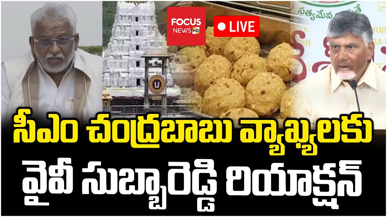 LIVE : సీఎం చంద్రబాబు వ్యాఖ్యలకు..YV Subba Reddy Press Meet On CM Chandrababu Comments | Focus News