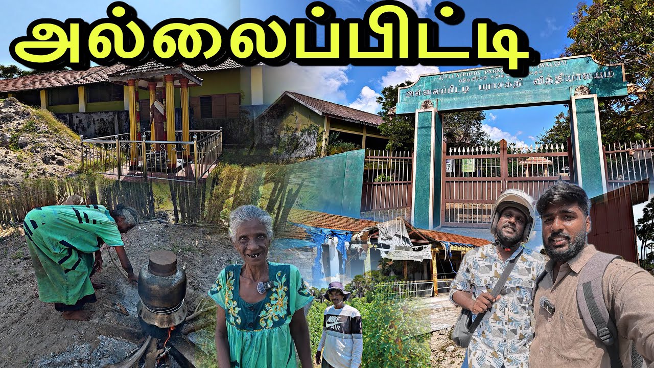 அல்லைப்பிட்டி மக்களின் உயிர்காக்கும் பனைகள் ! இராணுவம் விட்டு சென்ற பகுதி!
