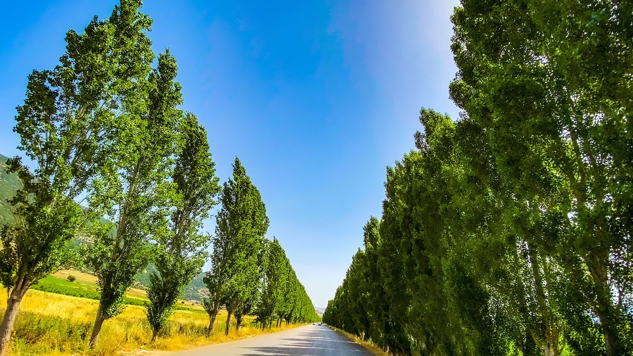 West Bekaa Scenic Road on a Beautiful Sunday Morning (My Amazing Lebanon)