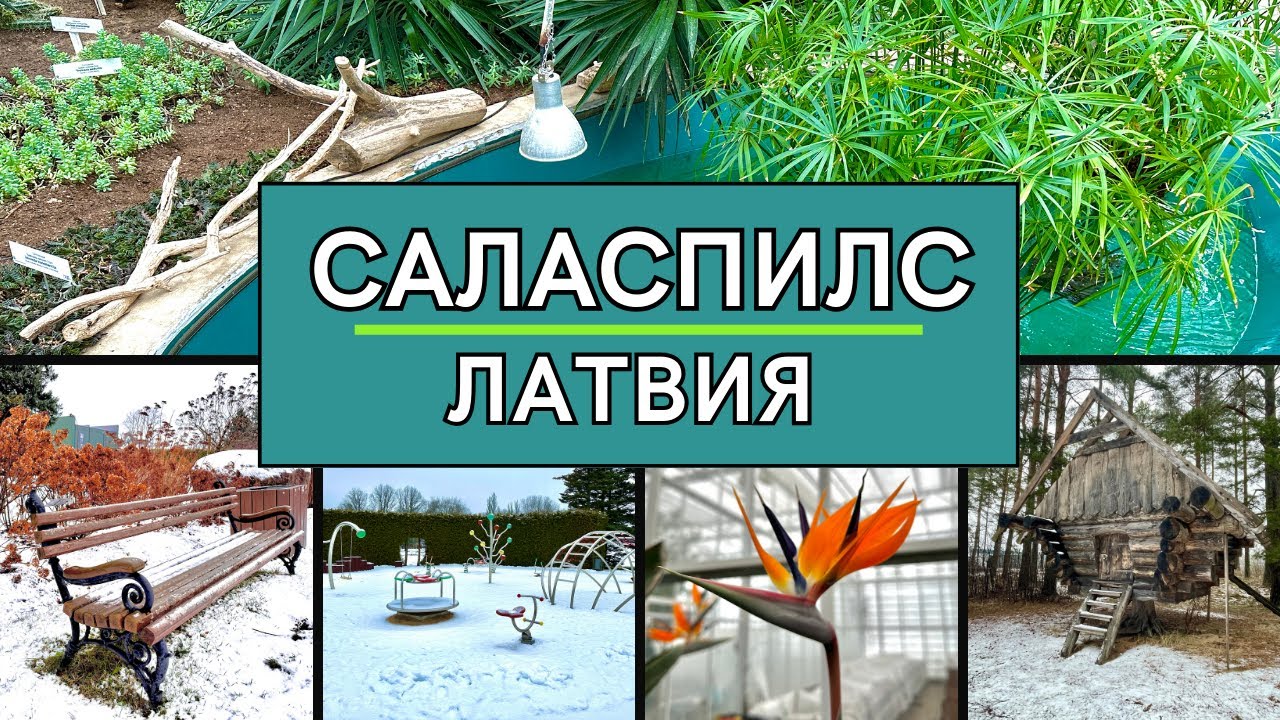 Саласпилс, Латвия | Национальный ботанический сад, пляж