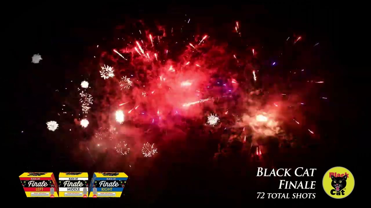 Black Cat Finale