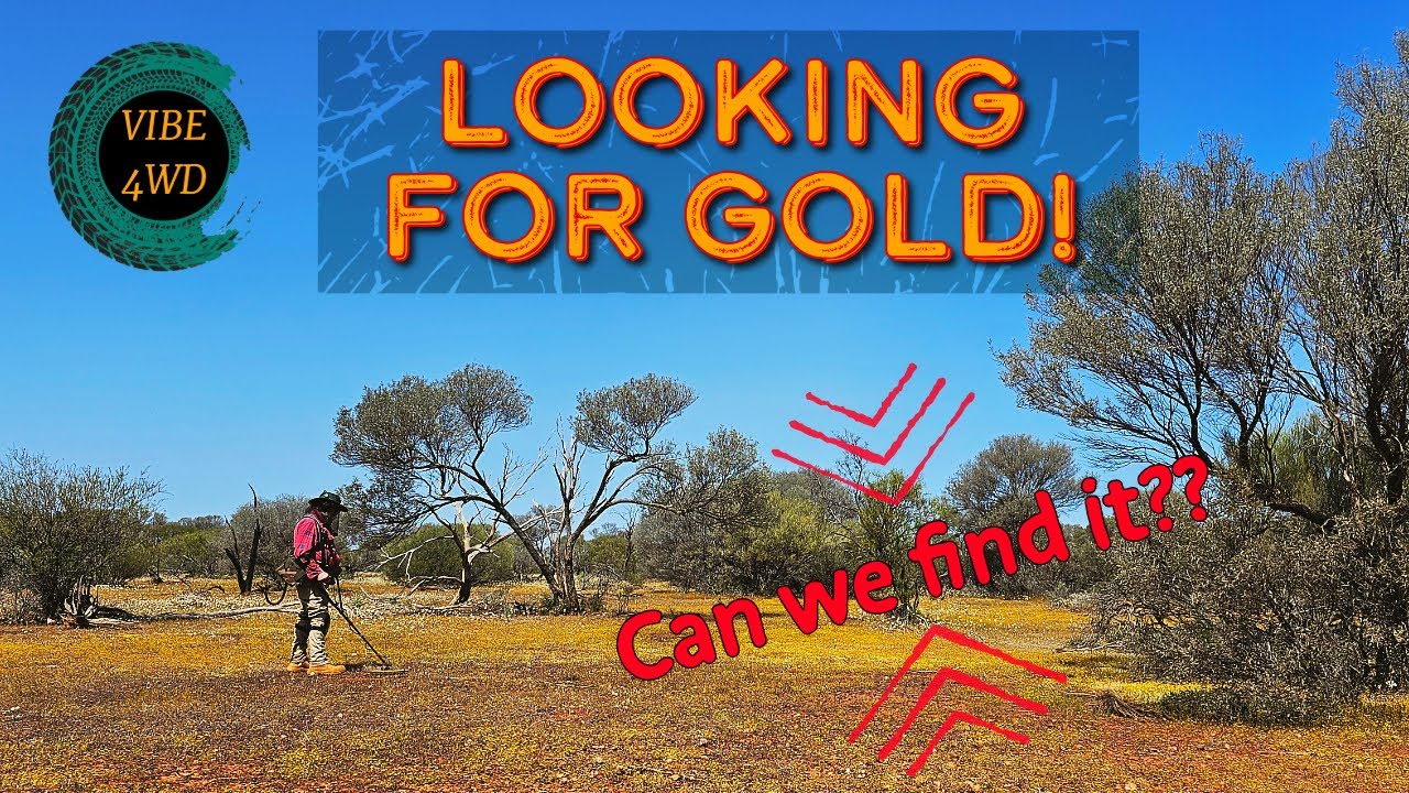 Prospecting for gold in the outback