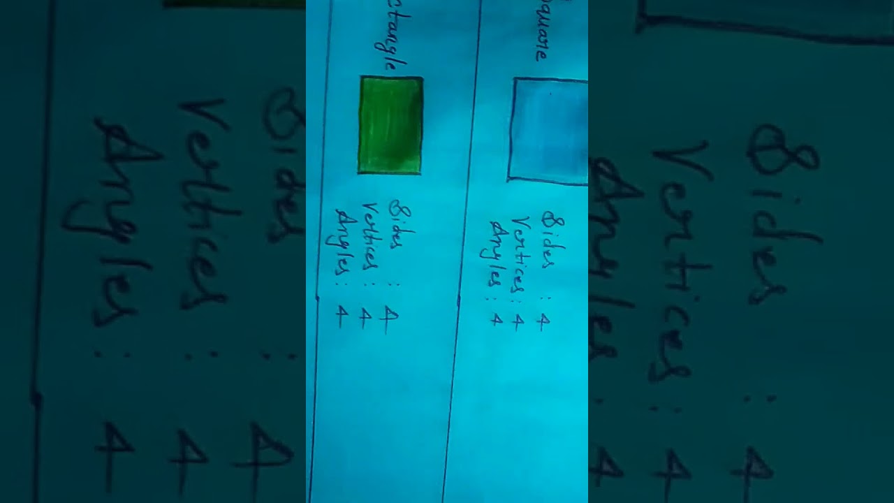 2d and 3d shape project Holiday Home work #