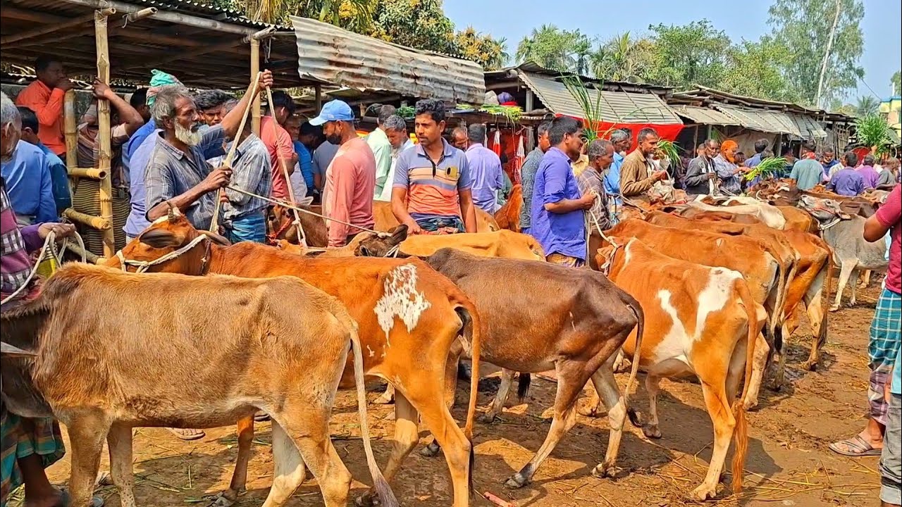 @আজ ২৭ ফেব্রুয়ারী