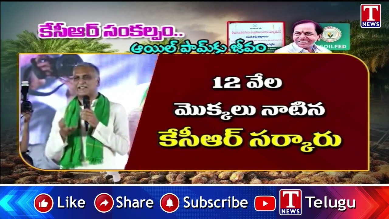 Harish Rao Credits KCR | Oil Palm Factory Established Under BRS KCR Efforts | T News