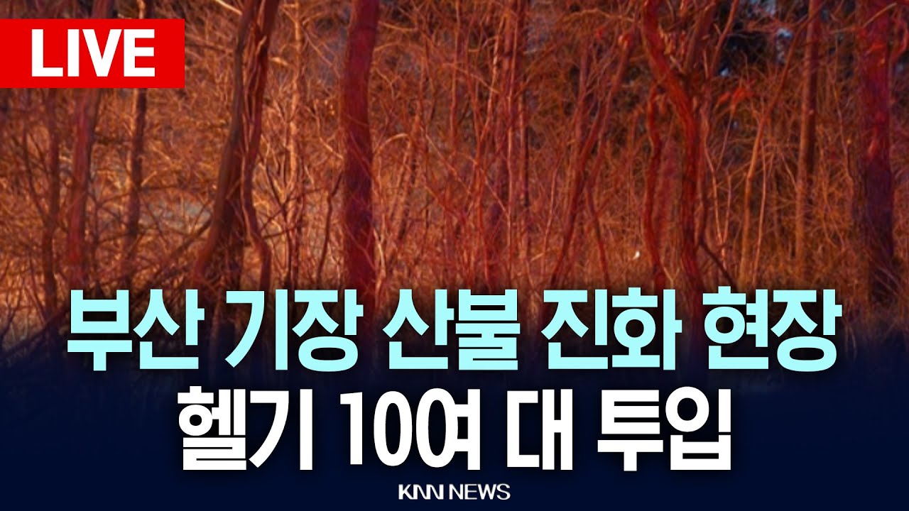 🔴LIVE[생중계] 부산 기장군 대형 산불 현장 생중계 / KNN / 26.01.22 / KNN