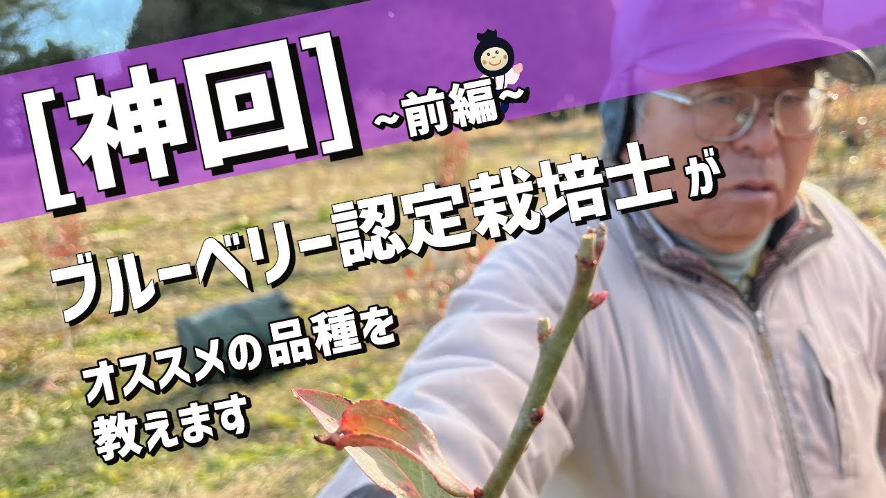 【神回・前編】ブルーベリーのプロによる品種説明