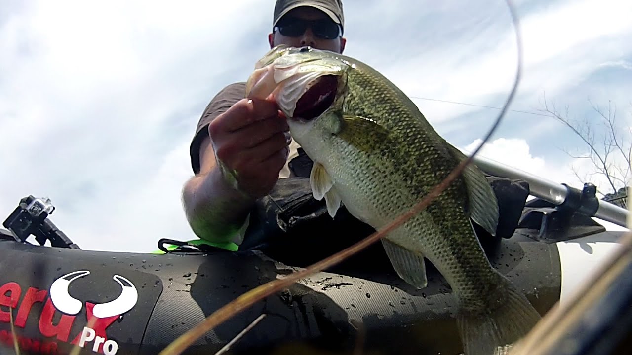 Pesca en pato: 21 Black Bass con Black Minnow