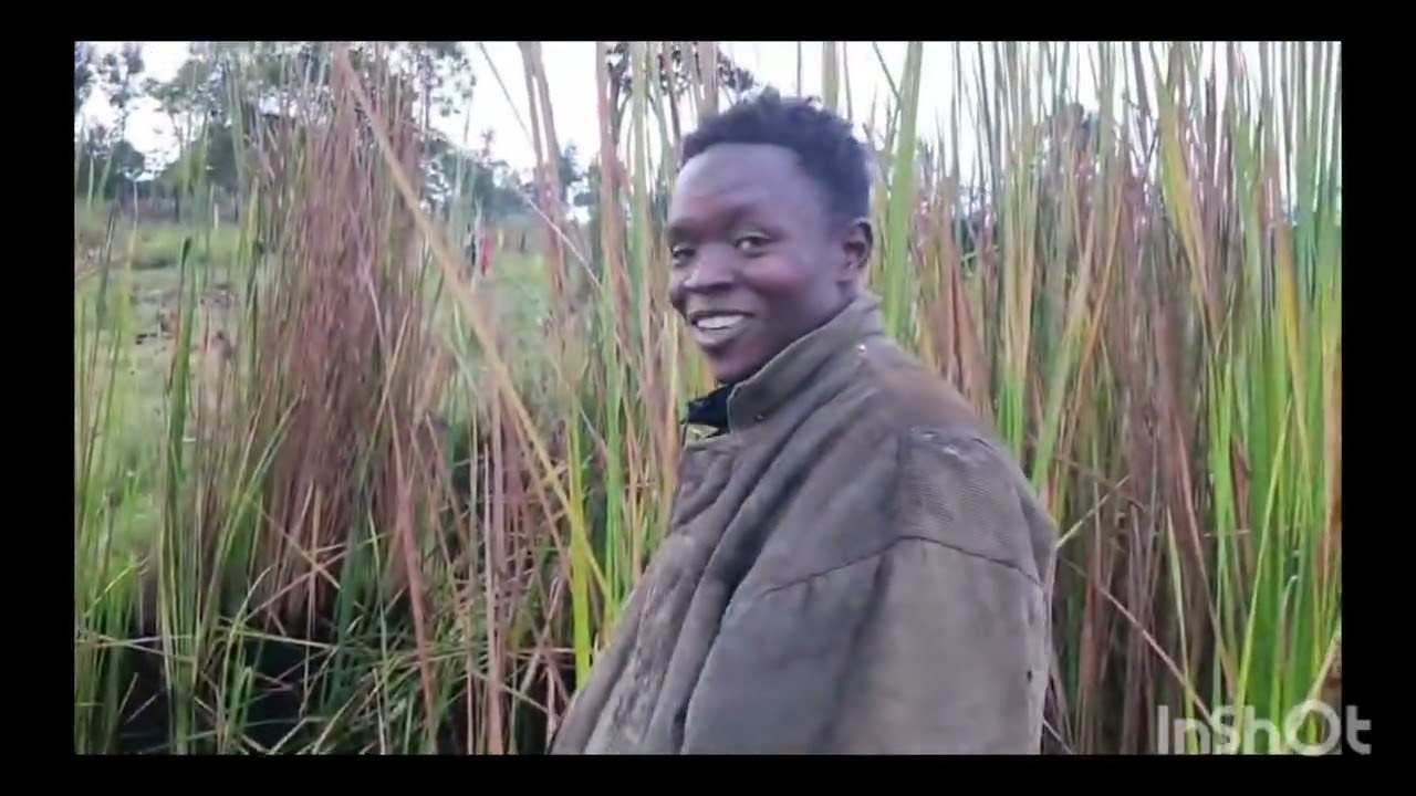 INCREDIBLE RESULTS! Why farming is theraputic.A must watch