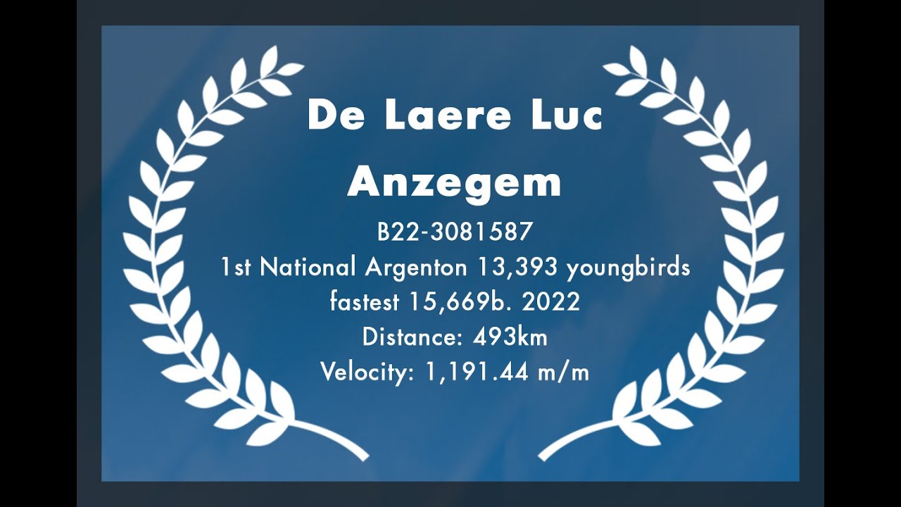 De Laere Luc - Anzegem: 1st National Argenton 13,393 youngbirds - fastest 15,669b. 2022